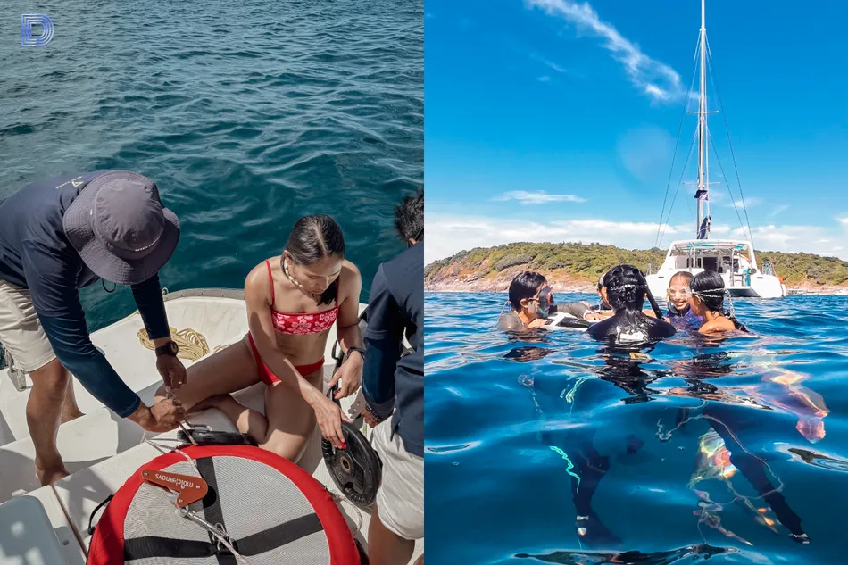 Dive Champ 7 M 5