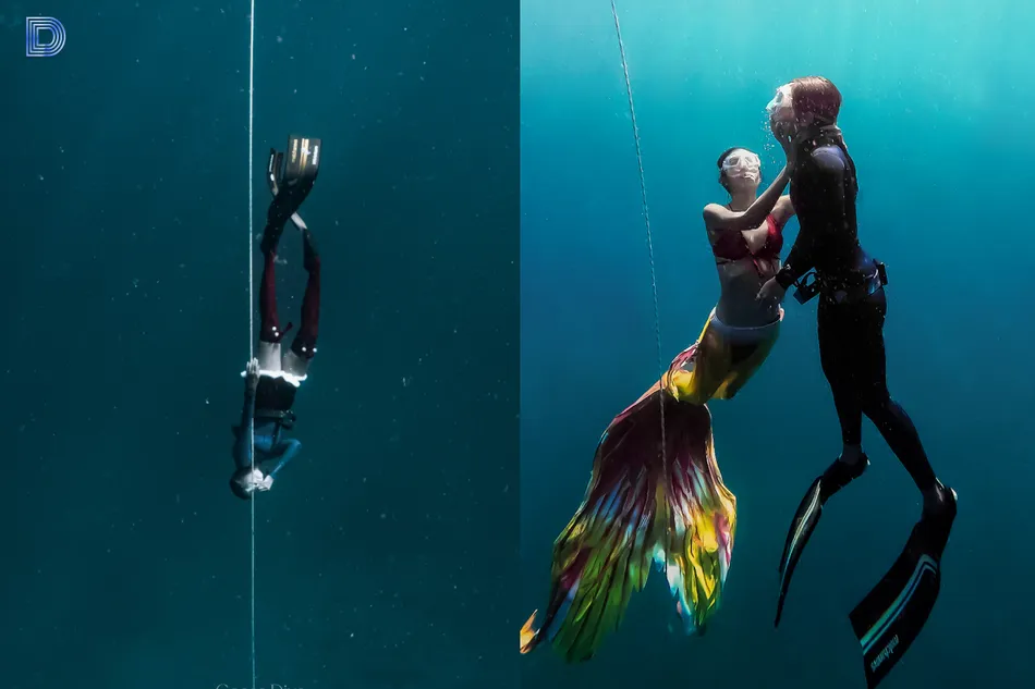 Dive Champ 7 M 4